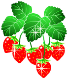 bd_strawberry26