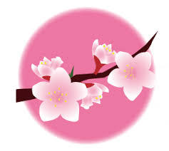 3月桃の花